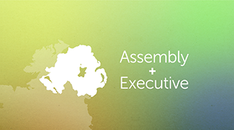 The Assembly and the Executive Committee activity link