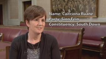 Political Parties in the Northern Ireland Assembly - Sinn Féin